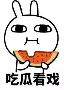 娱乐吃瓜酱加班,揭秘娱乐圈幕后故事